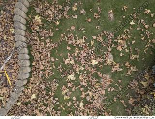 Photo Textures of Ground Mixed